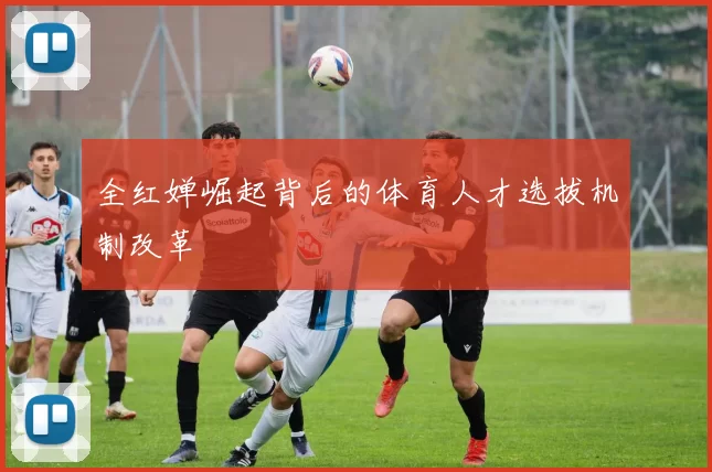 全红婵崛起背后的体育人才选拔机制改革