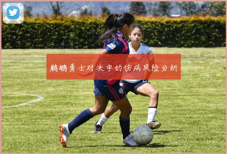 鹈鹕勇士对决中的伤病风险分析