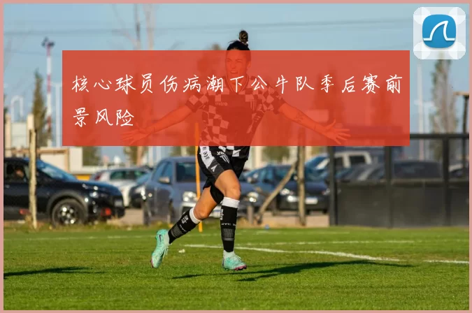 核心球员伤病潮下公牛队季后赛前景风险