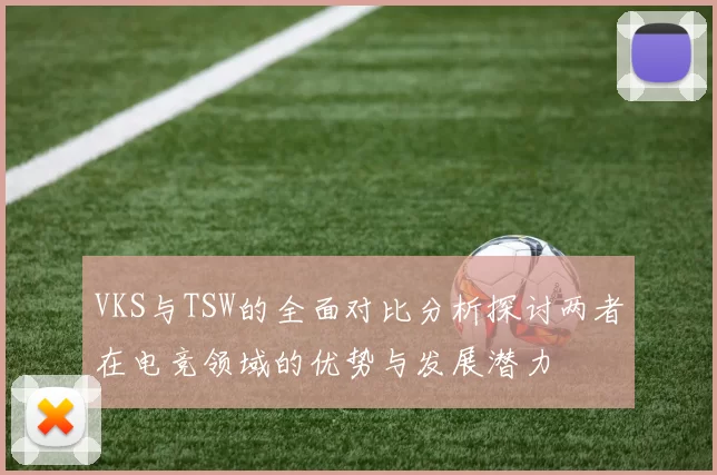VKS与TSW的全面对比分析探讨两者在电竞领域的优势与发展潜力