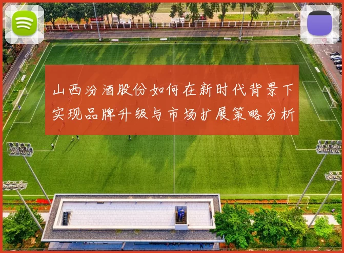 山西汾酒股份如何在新时代背景下实现品牌升级与市场扩展策略分析