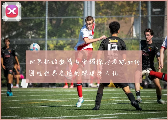 世界杯的激情与荣耀探讨足球如何团结世界各地的球迷与文化